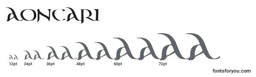 Размеры шрифта AonCari
