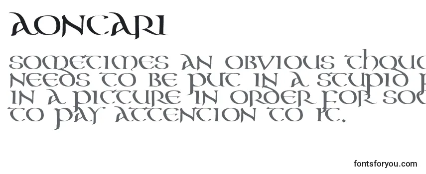 Review of the AonCari Font