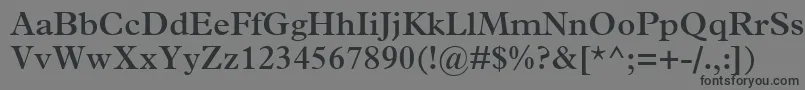 フォントTerminusSsiSemiBold – 黒い文字の灰色の背景