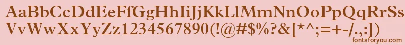 TerminusSsiSemiBold Font – Brown Fonts on Pink Background