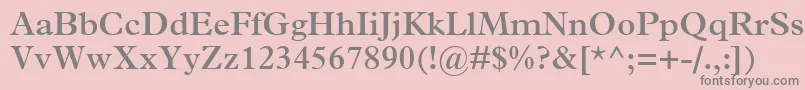 フォントTerminusSsiSemiBold – ピンクの背景に灰色の文字