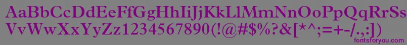 TerminusSsiSemiBold Font – Purple Fonts on Gray Background