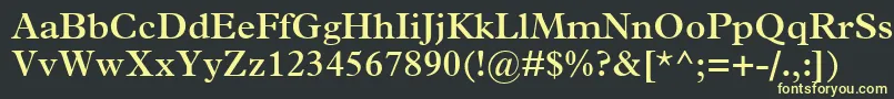 フォントTerminusSsiSemiBold – 黒い背景に黄色の文字