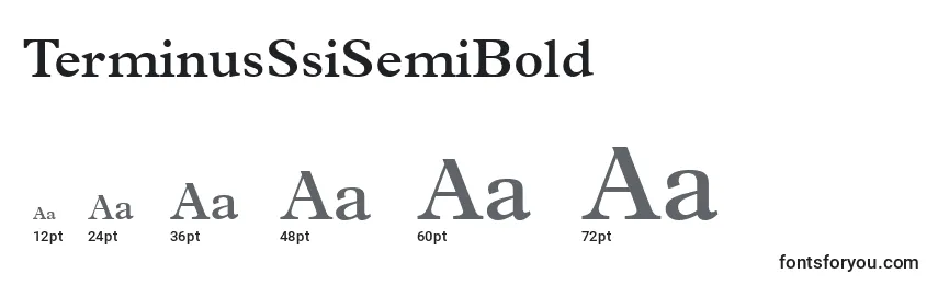 Размеры шрифта TerminusSsiSemiBold