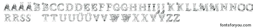 Шрифт Chentenario – немецкие шрифты