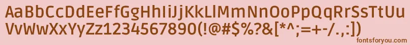 RudaBold Font – Brown Fonts on Pink Background