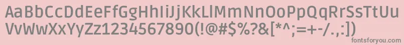 RudaBold Font – Gray Fonts on Pink Background