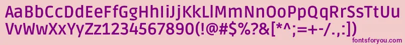 RudaBold Font – Purple Fonts on Pink Background