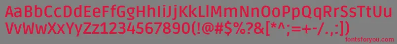 RudaBold Font – Red Fonts on Gray Background