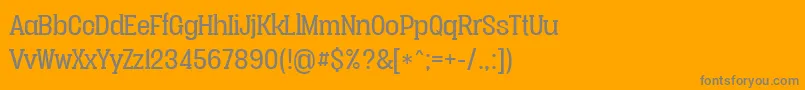 Vacerserifbookpersonal Font – Gray Fonts on Orange Background
