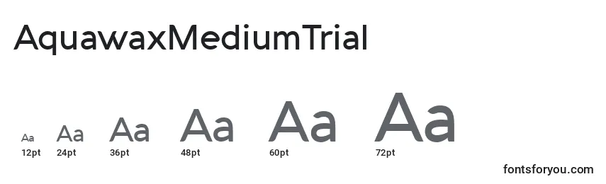 Размеры шрифта AquawaxMediumTrial