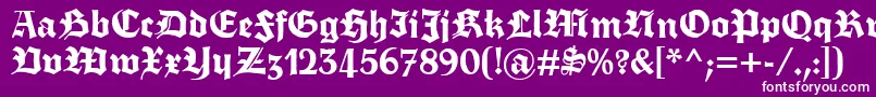 fuente Fettetrumpdeutsch – Fuentes Blancas Sobre Fondo Morado