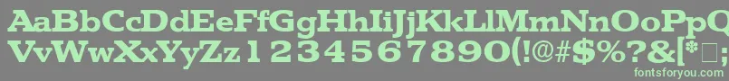 TektonDisplaySsi Font – Green Fonts on Gray Background