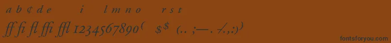 AdobeGaramondItalicExpert Font – Black Fonts on Brown Background