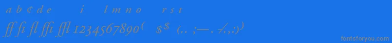 AdobeGaramondItalicExpert Font – Gray Fonts on Blue Background