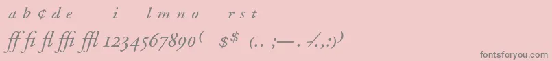 AdobeGaramondItalicExpert Font – Gray Fonts on Pink Background