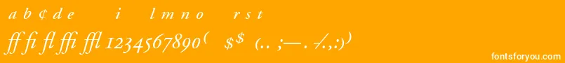 フォントAdobeGaramondItalicExpert – オレンジの背景に白い文字