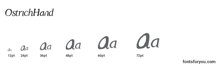 Размеры шрифта OstrichHand