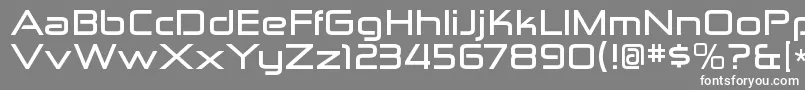 ZektonexBold-Schriftart – Weiße Schriften auf grauem Hintergrund