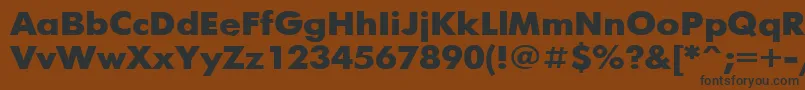 FuturisBold110b Font – Black Fonts on Brown Background