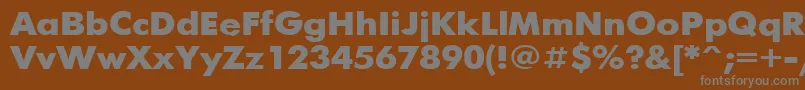FuturisBold110b Font – Gray Fonts on Brown Background