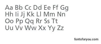 Review of the Agforeignerc Font