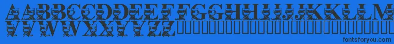 LmsLightsCameraAction Font – Black Fonts on Blue Background