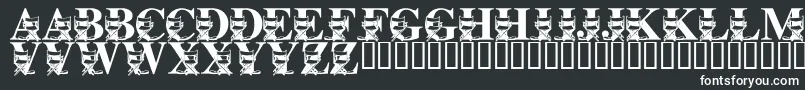 LmsLightsCameraAction-fontti – valkoiset fontit mustalla taustalla