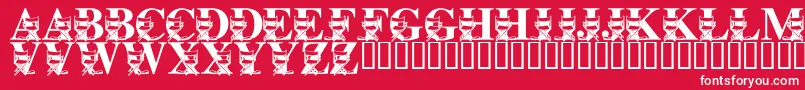 LmsLightsCameraAction Font – White Fonts on Red Background