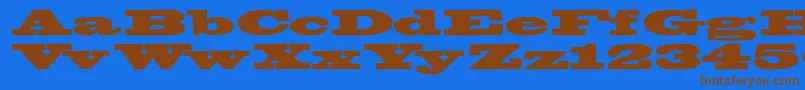 Bigswingingslabs Font – Brown Fonts on Blue Background