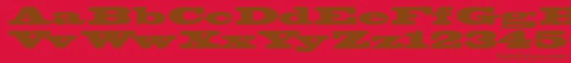 Bigswingingslabs Font – Brown Fonts on Red Background