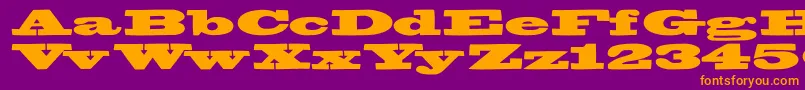 Bigswingingslabs Font – Orange Fonts on Purple Background