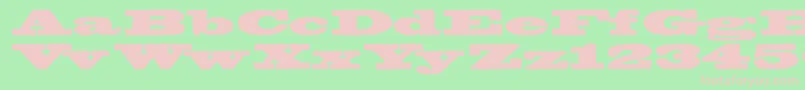 Bigswingingslabs Font – Pink Fonts on Green Background