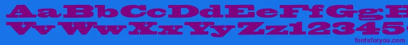 Bigswingingslabs Font – Purple Fonts on Blue Background