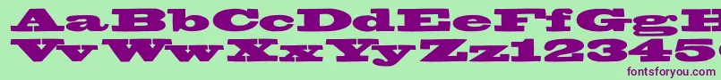 Bigswingingslabs Font – Purple Fonts on Green Background