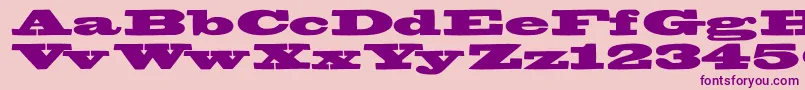 Bigswingingslabs Font – Purple Fonts on Pink Background