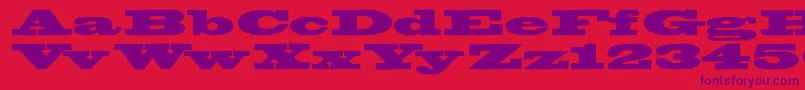 Bigswingingslabs Font – Purple Fonts on Red Background