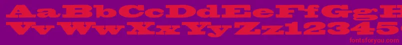 Bigswingingslabs Font – Red Fonts on Purple Background