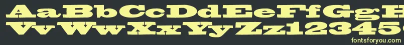 Bigswingingslabs Font – Yellow Fonts on Black Background