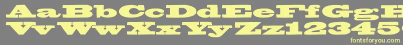 Bigswingingslabs Font – Yellow Fonts on Gray Background