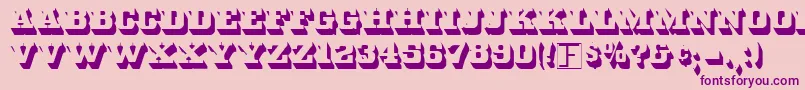 Whitebld Font – Purple Fonts on Pink Background