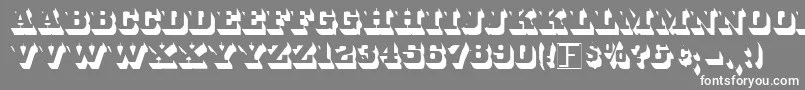 Whitebld Font – White Fonts on Gray Background