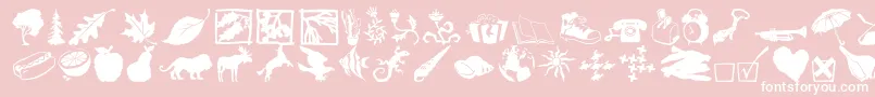 Dfincidentals Font – White Fonts on Pink Background