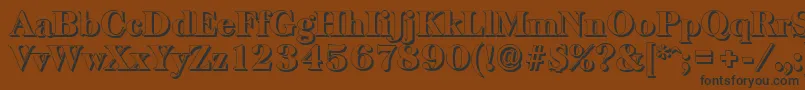 BaskervilleshadowHeavyRegular Font – Black Fonts on Brown Background