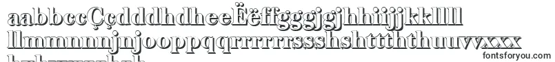BaskervilleshadowHeavyRegular-Schriftart – nyanja Schriften