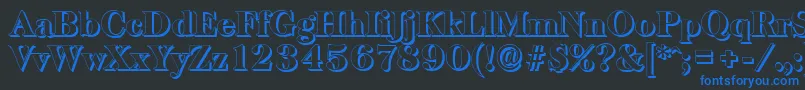 BaskervilleshadowHeavyRegular Font – Blue Fonts on Black Background