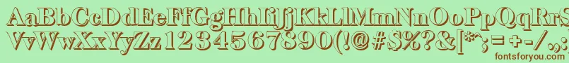BaskervilleshadowHeavyRegular Font – Brown Fonts on Green Background