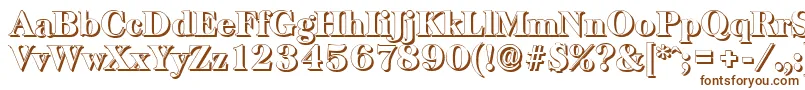 BaskervilleshadowHeavyRegular Font – Brown Fonts on White Background