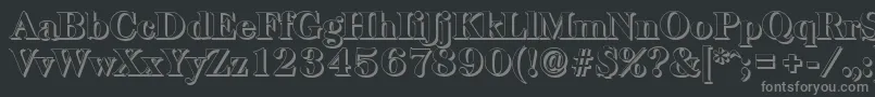 BaskervilleshadowHeavyRegular Font – Gray Fonts on Black Background