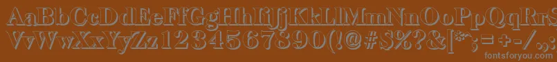 BaskervilleshadowHeavyRegular-Schriftart – Graue Schriften auf braunem Hintergrund